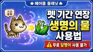 메이플 플래닛 펫 기간 연장 방법|생명의 물 사용법 2 썸네일